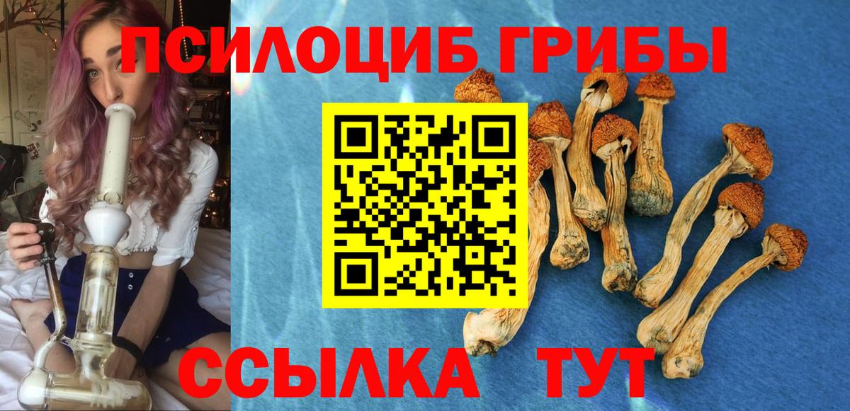 Псилоцибиновые грибы Psilocybe  Вход с VPN  Псилоцибиновые грибы Psilocybine cubensis  Алушта 